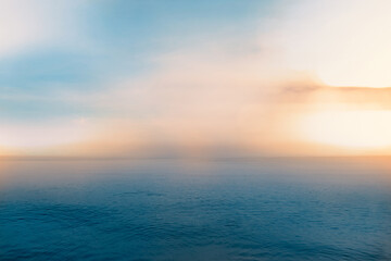 非洲猪瘟是什么